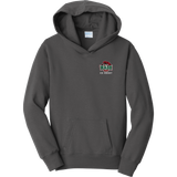 Wash U Youth Fan Favorite Fleece Pullover Hooded Sweatshirt